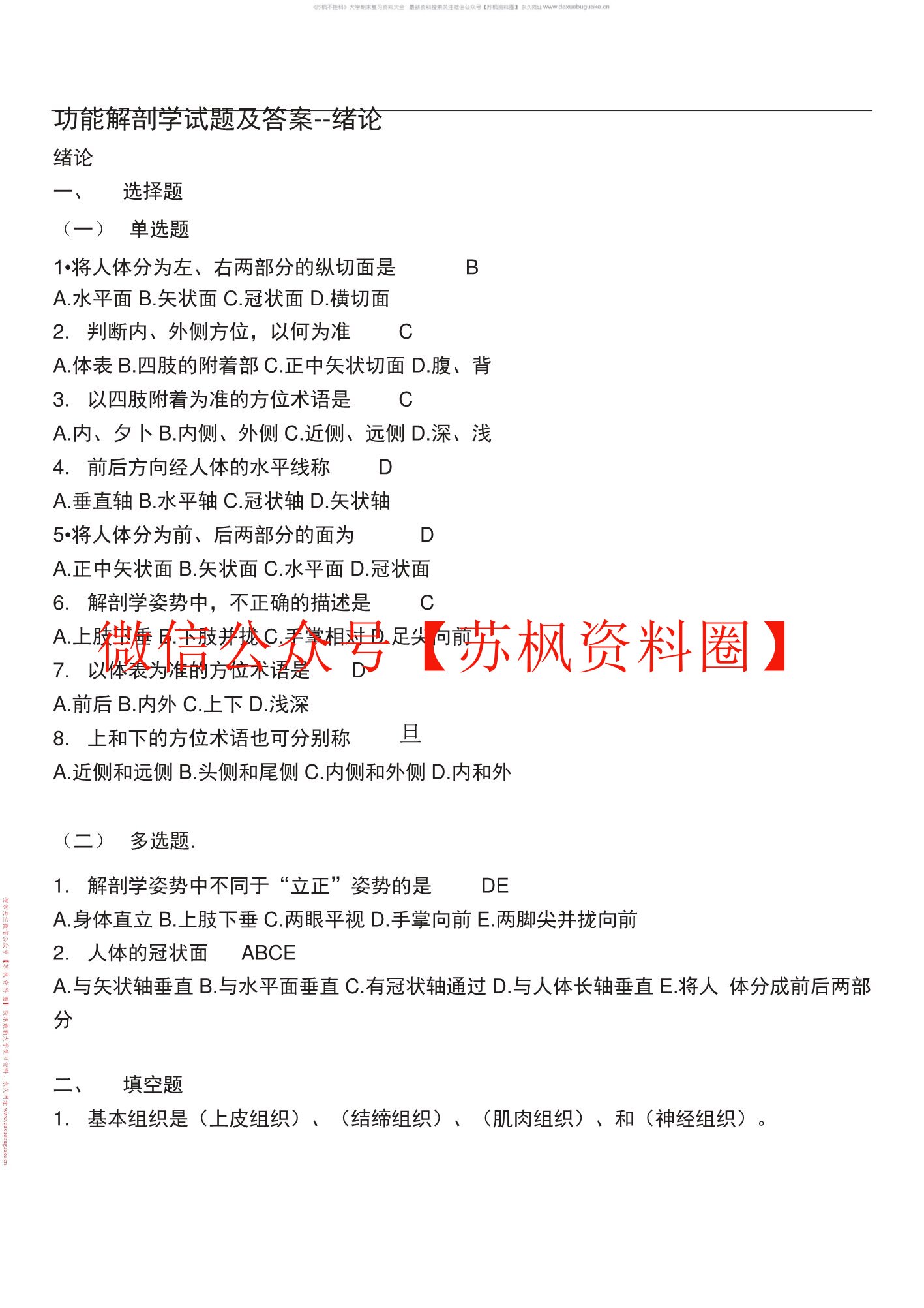 功能解剖学
